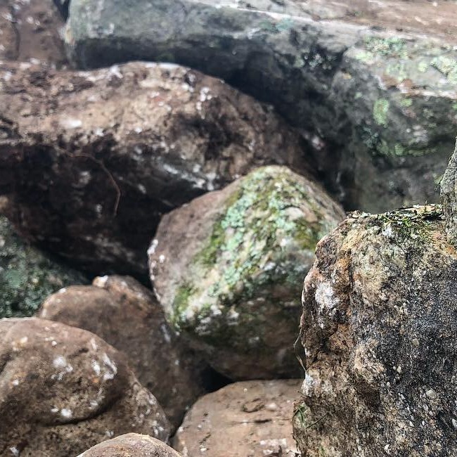 weathered boulders<br />
